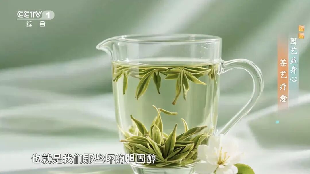 这件让脑子“变傻”的事情,你可能每天都在干,尤其是夏天 这件让脑子“变傻”的事情,你可能每天都在干,尤其是夏天