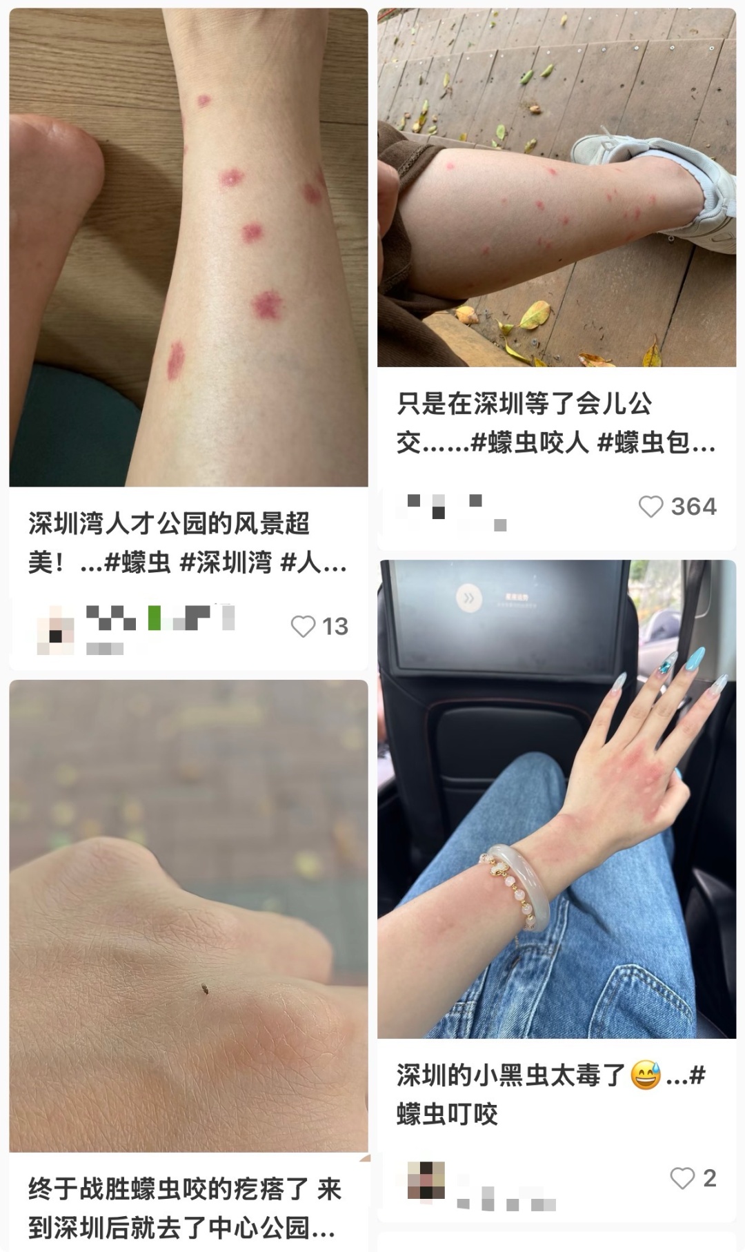 痒痒痒痒痒!近期高发,这些虫子进入活跃期!不少深圳人中招...... 痒痒痒痒痒!近期高发,这些虫子进入活跃期!不少深圳人中招......