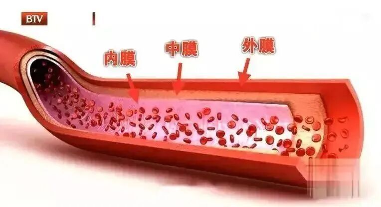 加速血管“变老”的6件事,很多人第一个就中招,常吃4种食物,血管畅通、不堵不塞 加速血管“变老”的6件事,很多人第一个就中招,常吃4种食物,血管畅通、不堵不塞