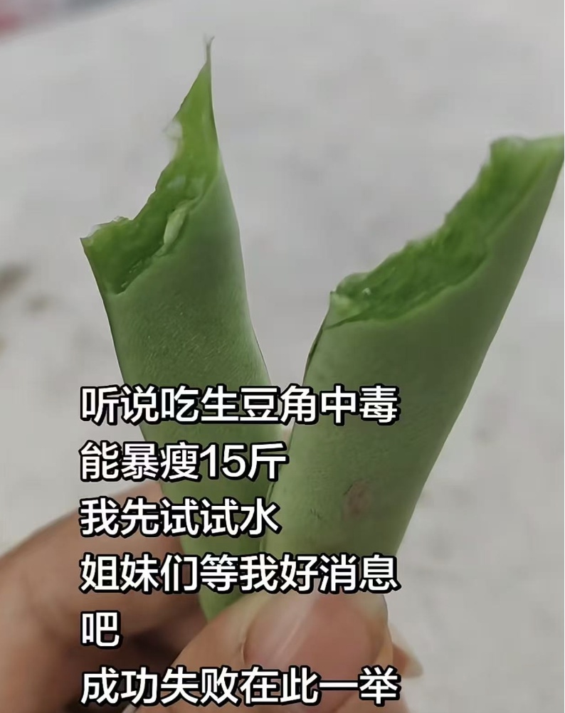 生豆角竟是“减脂王”？到底谁在信！