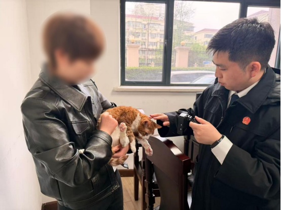 杭州俩姑娘曾是合租好友,后因为3只猫闹上法庭,结局出人意料…… 杭州俩姑娘曾是合租好友,后因为3只猫闹上法庭,结局出人意料……
