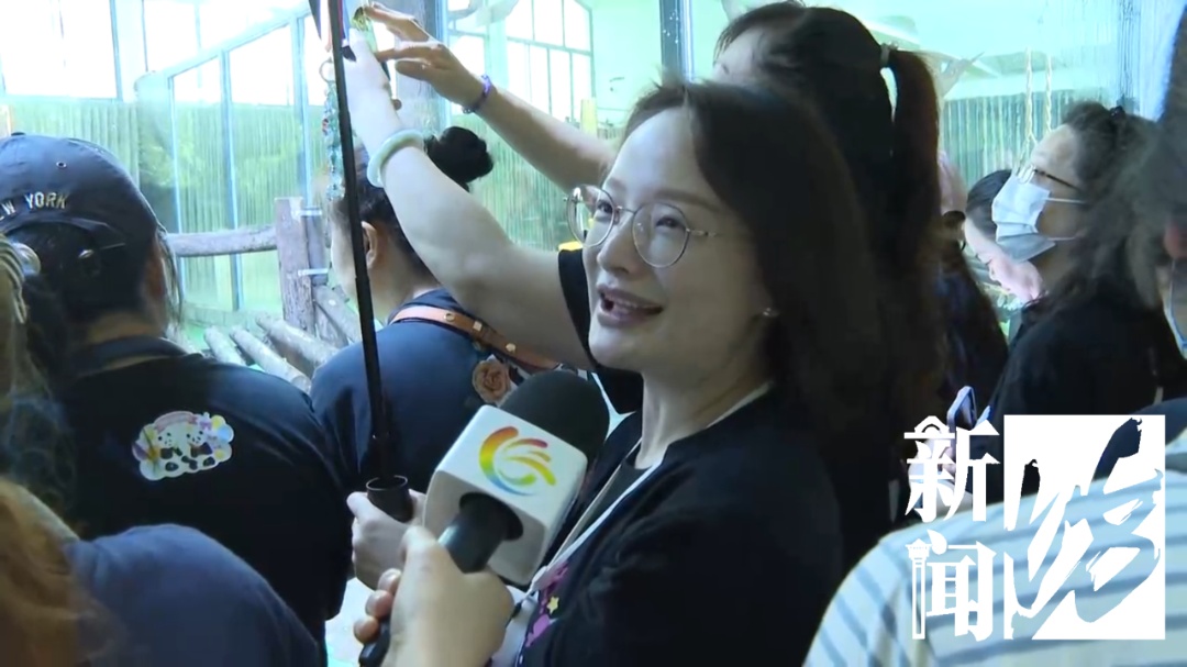 “是我们上海小囡!”一大批粉丝专程来沪,今天“星光”10岁了! “是我们上海小囡!”一大批粉丝专程来沪,今天“星光”10岁了!
