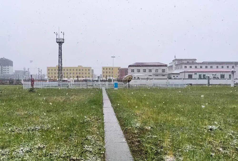天峻6月飞雪!青海将迎入汛最强降雨 天峻6月飞雪!青海将迎入汛最强降雨