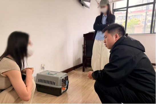 杭州俩姑娘曾是合租好友,后因为3只猫闹上法庭,结局出人意料…… 杭州俩姑娘曾是合租好友,后因为3只猫闹上法庭,结局出人意料……