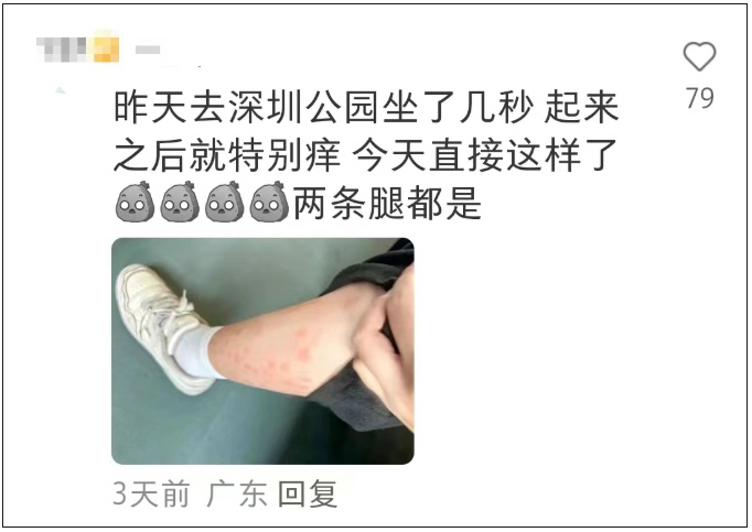 近期高发！被咬后奇痒无比