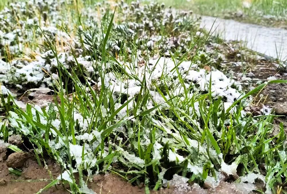 天峻6月飞雪!青海将迎入汛最强降雨 天峻6月飞雪!青海将迎入汛最强降雨
