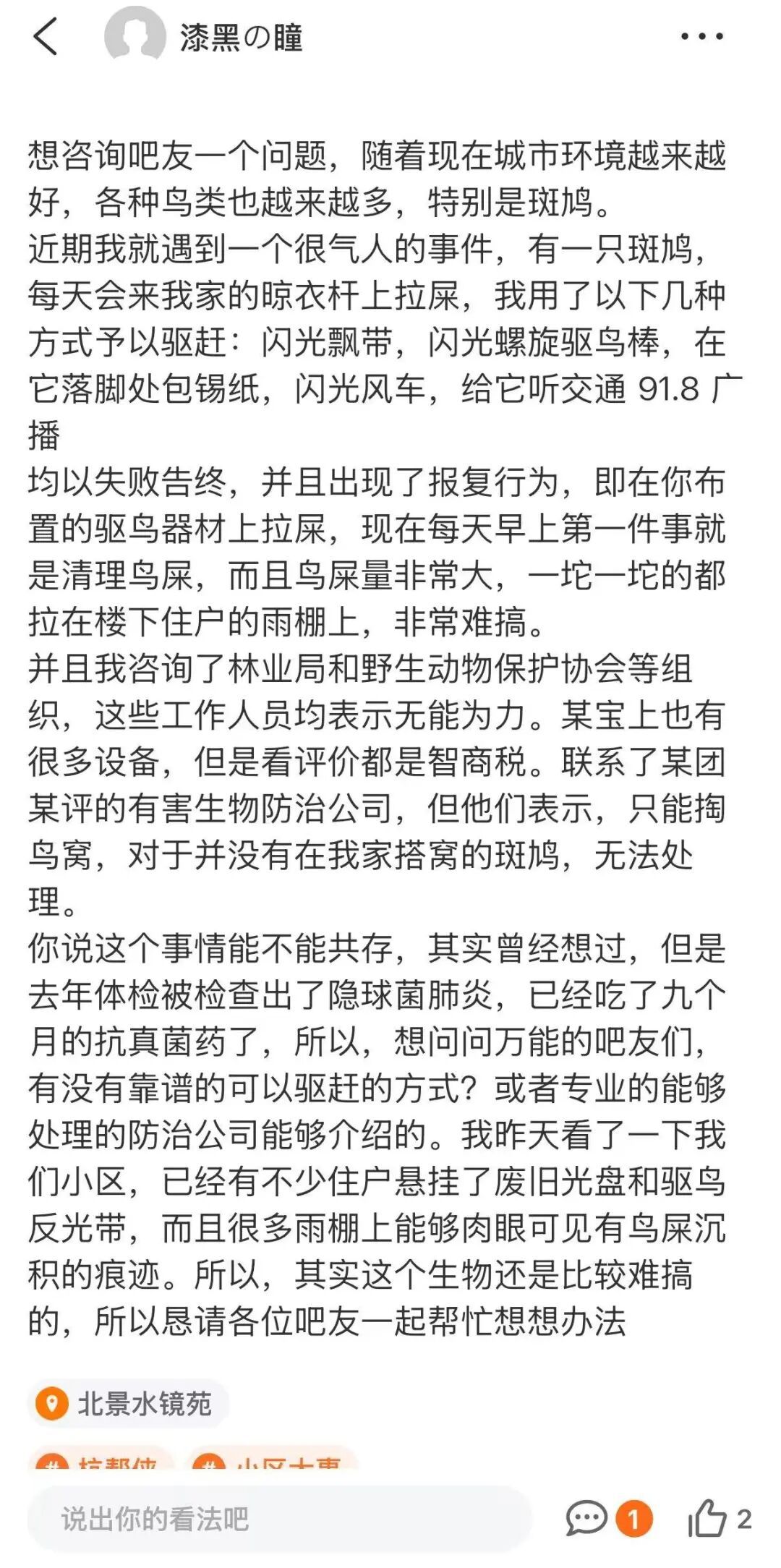 男子因驱赶斑鸠筑巢被其“报复”：每天都来我家 试尽方法都不管用 无奈求助