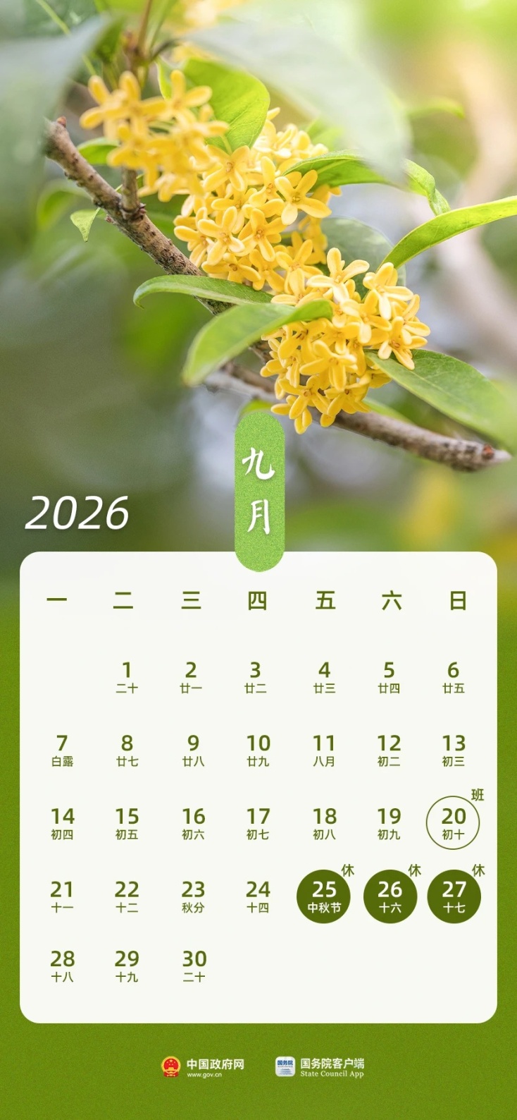 广州中小学放假时间来了！还有这些假期