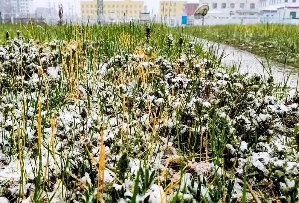 天峻6月飞雪!青海将迎入汛最强降雨 天峻6月飞雪!青海将迎入汛最强降雨