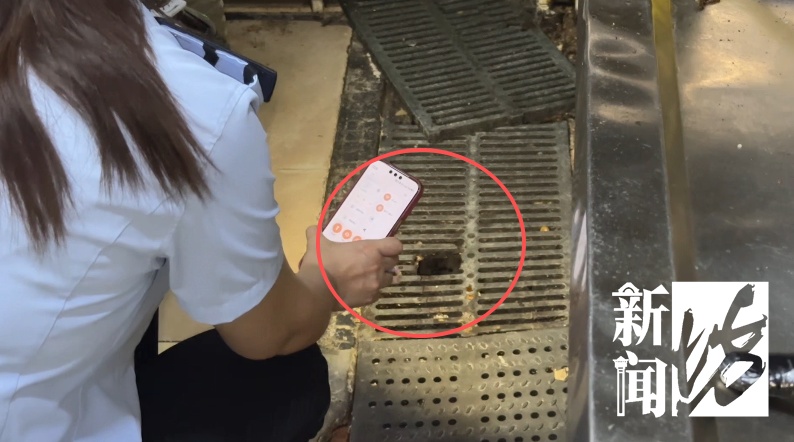 上海一餐厅后厨惊现老鼠!AI紧急通报,执法人员立马上门… 上海一餐厅后厨惊现老鼠!AI紧急通报,执法人员立马上门…