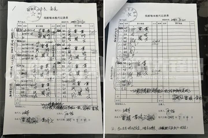 贵阳一地集体林木为何屡遭无证砍伐? 贵阳一地集体林木为何屡遭无证砍伐?