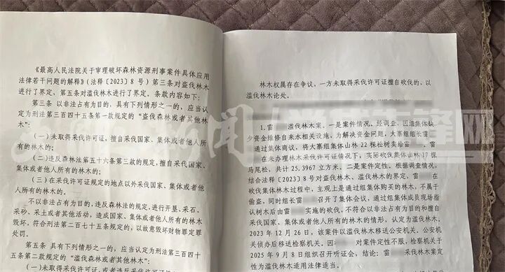 贵阳一地集体林木为何屡遭无证砍伐? 贵阳一地集体林木为何屡遭无证砍伐?