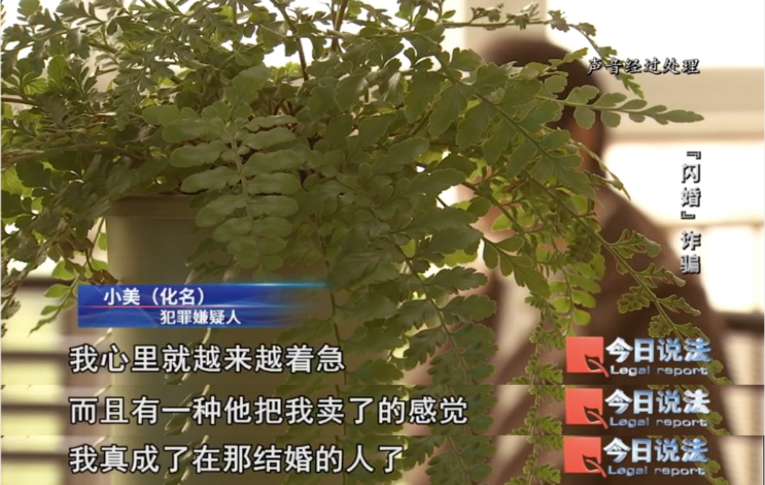 新婚29天,花38万娶来的妻子失联了 新婚29天,花38万娶来的妻子失联了