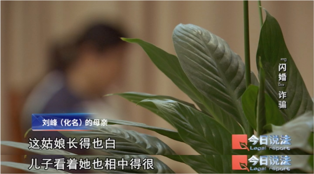 新婚29天,花38万娶来的妻子失联了 新婚29天,花38万娶来的妻子失联了