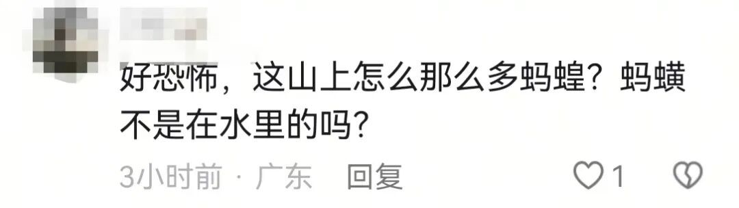 女子在云南一雪山徒步时 遭蚂蝗钻肚脐当场吓哭 女子在云南一雪山徒步时 遭蚂蝗钻肚脐当场吓哭