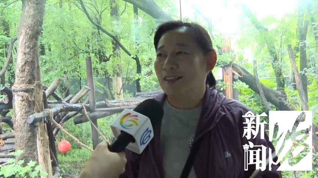 “是我们上海小囡!”一大批粉丝专程来沪,今天“星光”10岁了! “是我们上海小囡!”一大批粉丝专程来沪,今天“星光”10岁了!