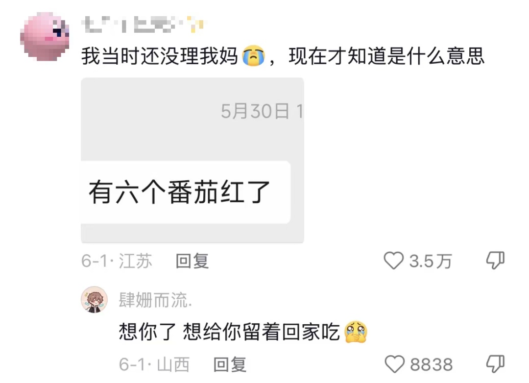 “我对我爸说杏熟了我就回去吃杏，然后我爸天天去看杏熟了没”