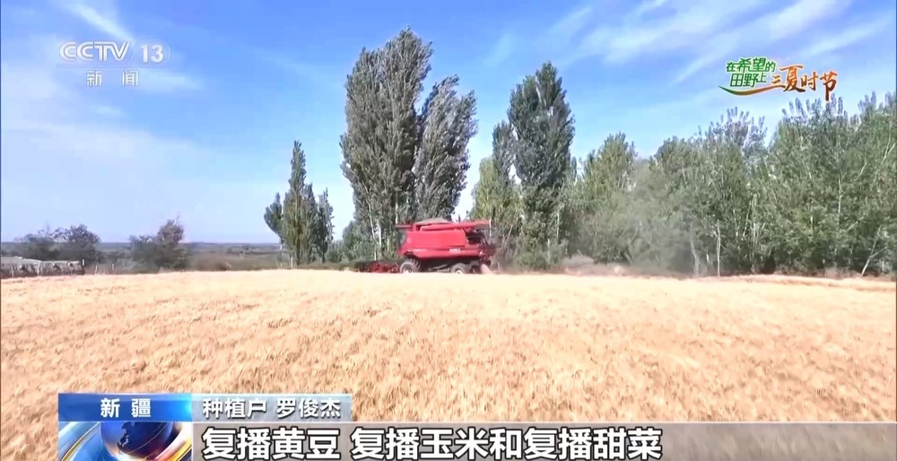 全国多地夏收夏管稳步推进 科技种粮稳丰收 全国多地夏收夏管稳步推进 科技种粮稳丰收