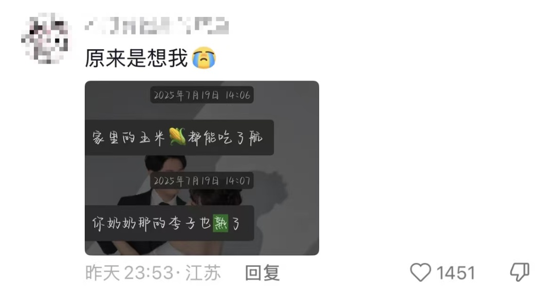 “我对我爸说杏熟了我就回去吃杏，然后我爸天天去看杏熟了没”