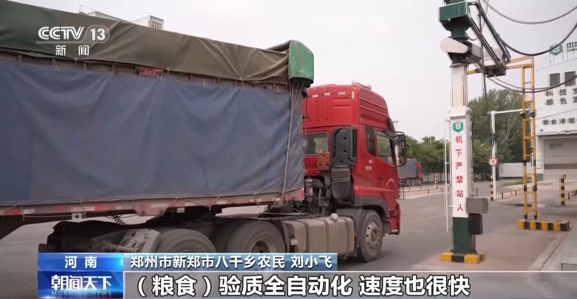 夏粮收购开启 看大国粮仓“升舱记”