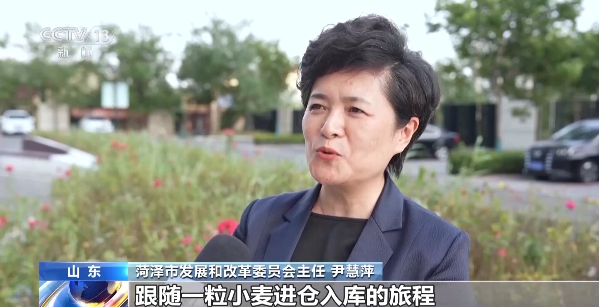 夏粮收购开启 看大国粮仓“升舱记”