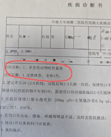 被鲨鱼咬伤的律师已跟海洋馆达成和解，身体已无大碍，海洋馆：咬人鲨鱼已被转移
