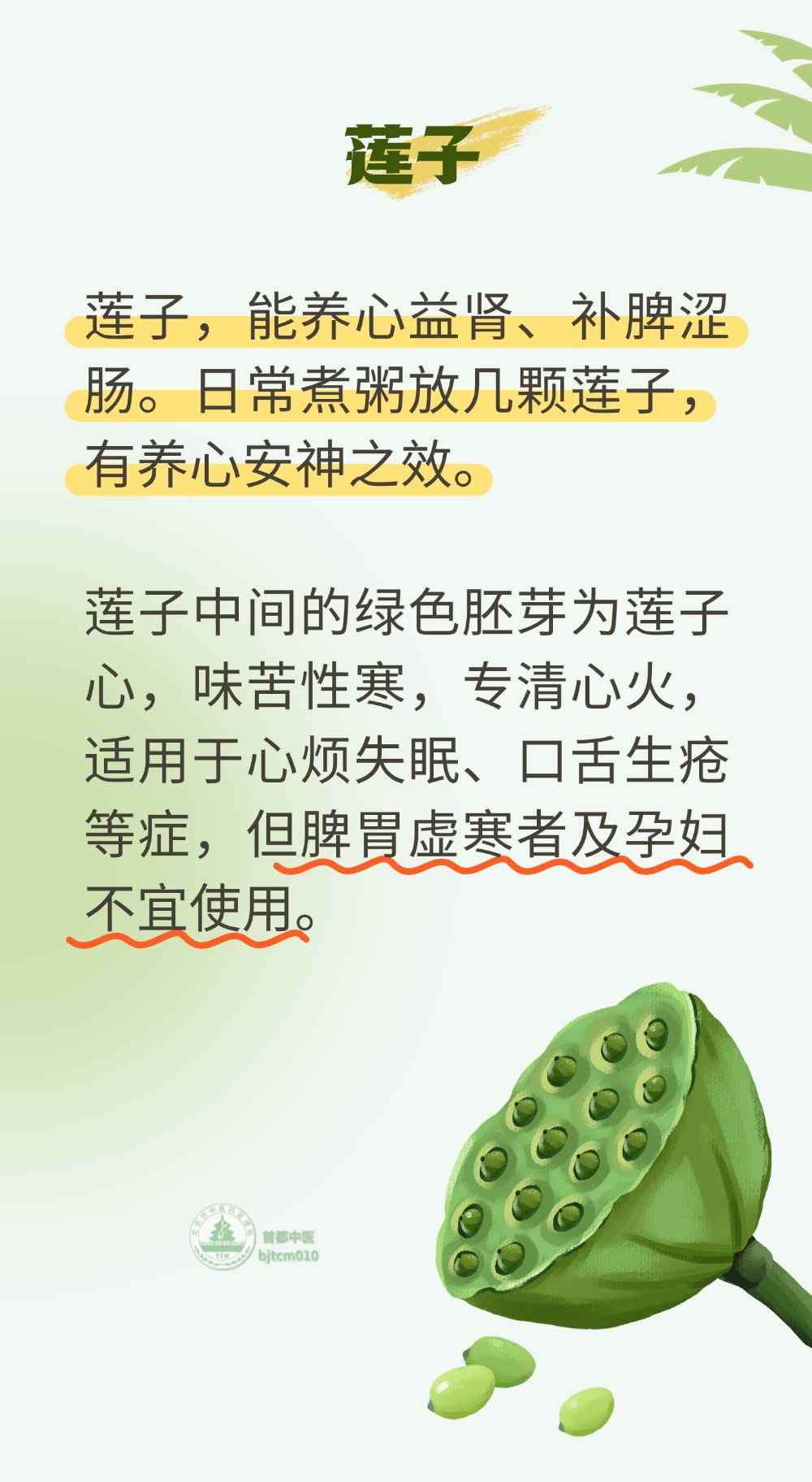 身体沉、没精神、心烦失眠?几样家常东西就能调理!带您认识身边的“养生好物” 身体沉、没精神、心烦失眠?几样家常东西就能调理!带您认识身边的“养生好物”