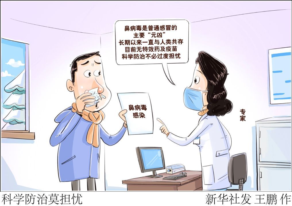 鼻病毒近期高发 医生提醒莫盲目用药 鼻病毒近期高发 医生提醒莫盲目用药