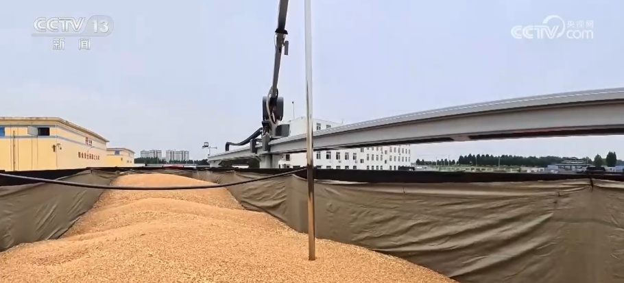 接稳这季丰收粮 大国粮仓“智慧升舱”从单点探索落到储粮一线 接稳这季丰收粮 大国粮仓“智慧升舱”从单点探索落到储粮一线