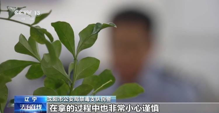 “新年快乐”竟是交易暗号 警方破获特大贩毒案