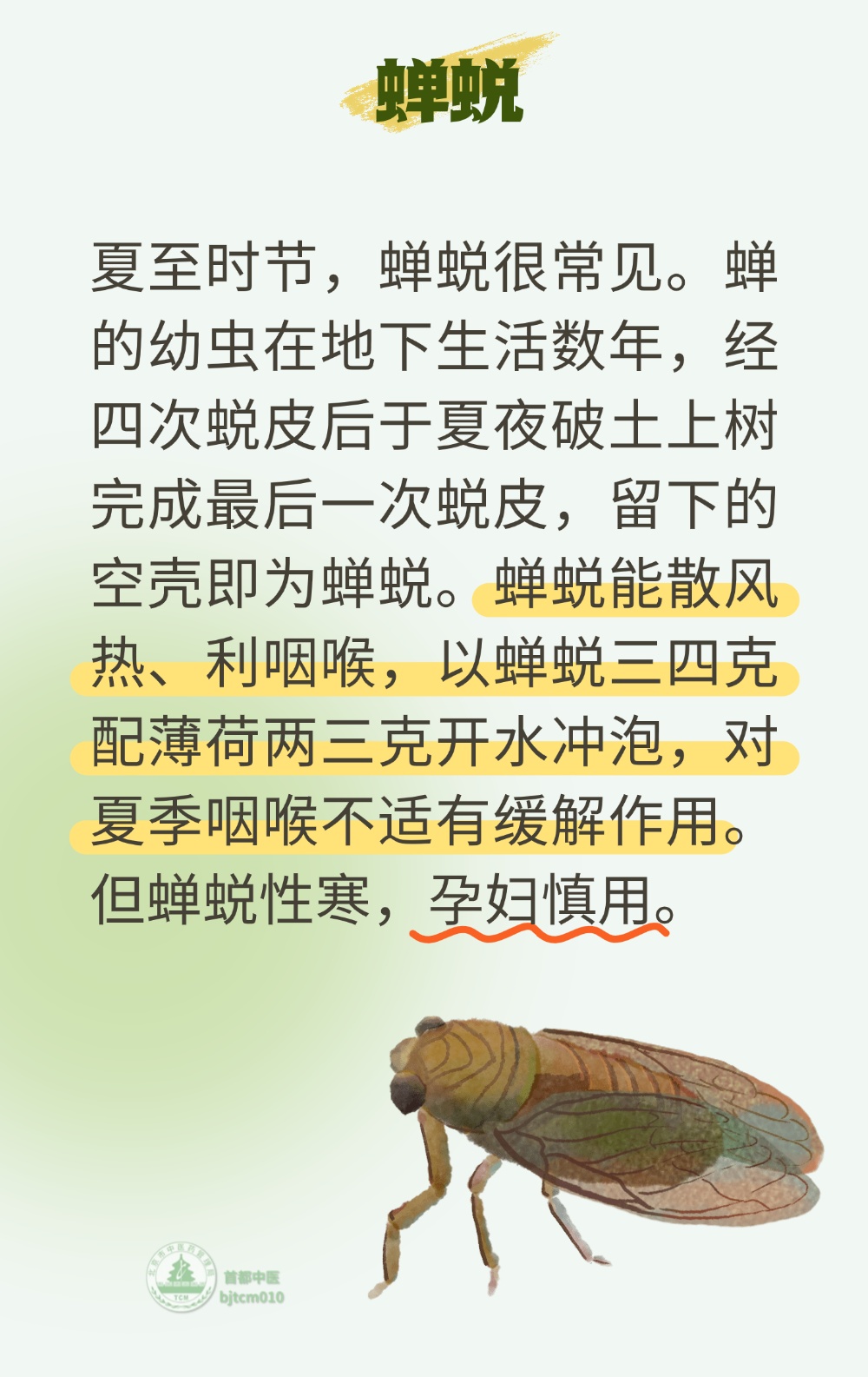 身体沉、没精神、心烦失眠?几样家常东西就能调理!带您认识身边的“养生好物” 身体沉、没精神、心烦失眠?几样家常东西就能调理!带您认识身边的“养生好物”