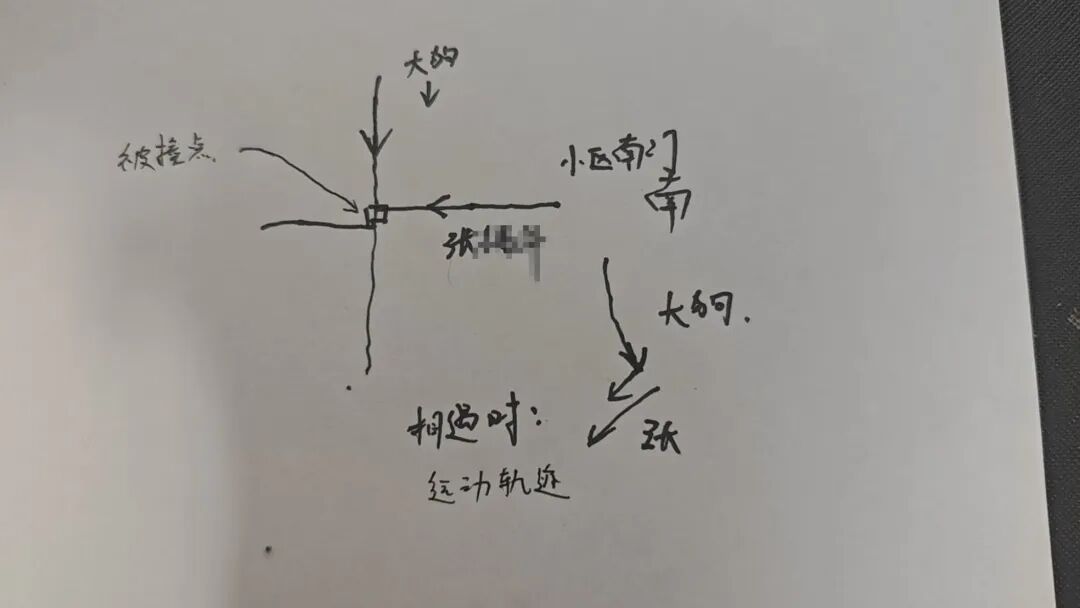 扬州一大型犬与柴犬打闹，扑倒老人致手腕骨折，大型犬主人：正走法律程序，不会拒赔