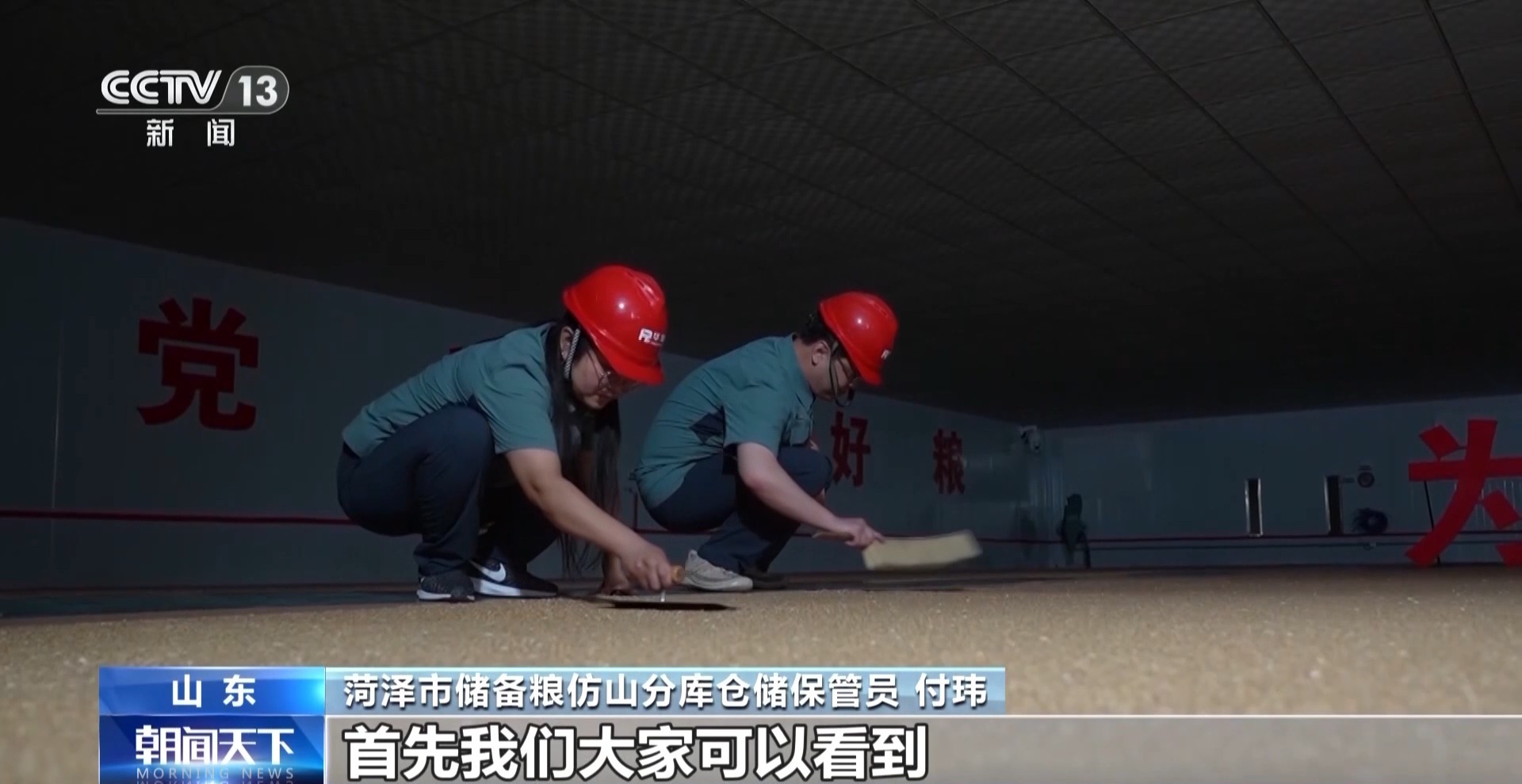 夏粮收购开启 看大国粮仓“升舱记”