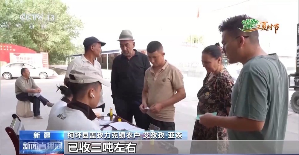 全国多地夏收夏管稳步推进 科技种粮稳丰收 全国多地夏收夏管稳步推进 科技种粮稳丰收