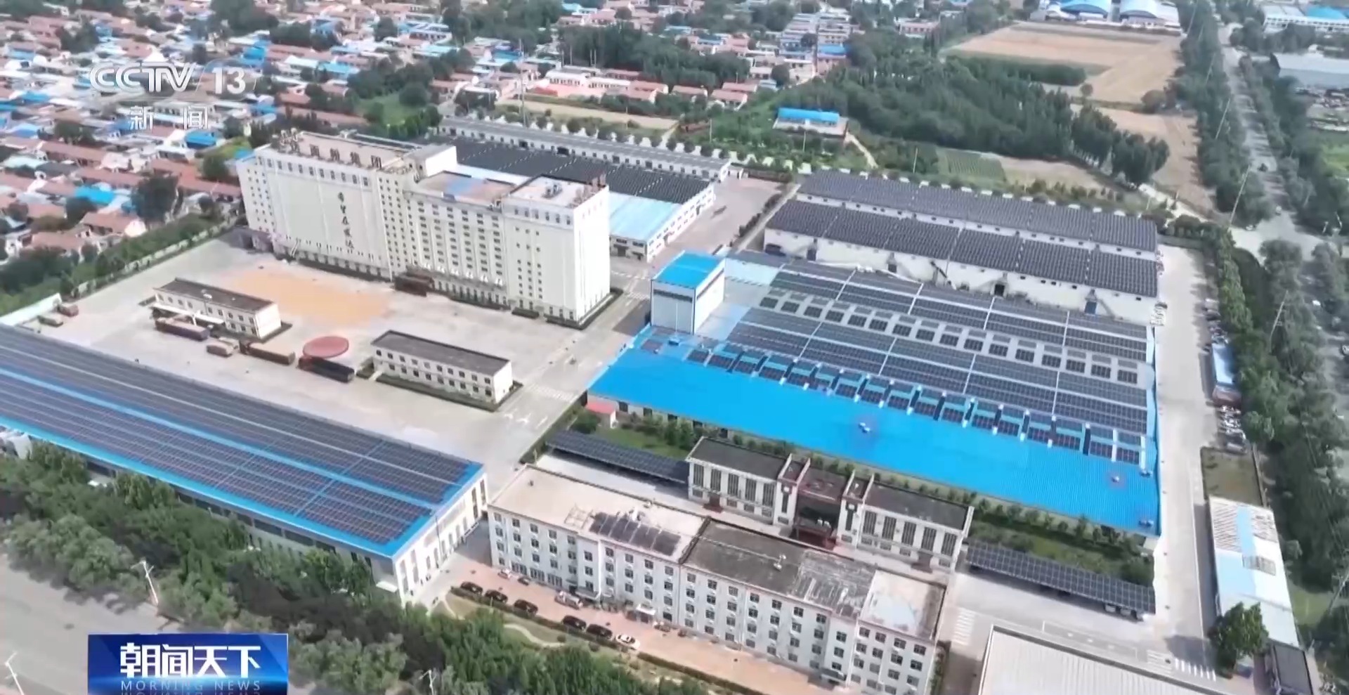 夏粮收购开启 看大国粮仓“升舱记”
