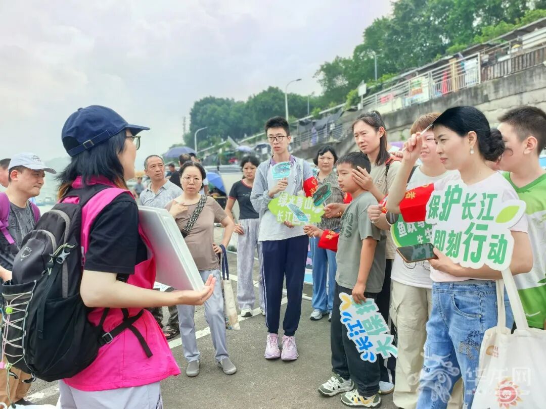 重庆增殖放流长江鲟、胭脂鱼等珍稀特有鱼类8万余尾 重庆增殖放流长江鲟、胭脂鱼等珍稀特有鱼类8万余尾