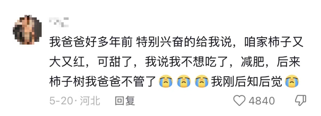 “我对我爸说杏熟了我就回去吃杏，然后我爸天天去看杏熟了没”