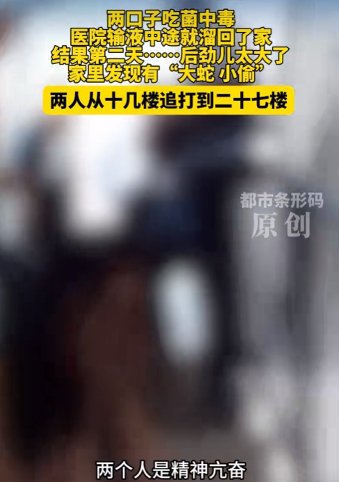 以为妻子是“蛇”!夫妻俩吃菌中毒产生幻觉 民警“哄” 两人上120 以为妻子是“蛇”!夫妻俩吃菌中毒产生幻觉 民警“哄” 两人上120