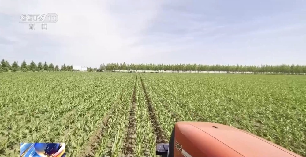 全国多地夏收夏管稳步推进 科技种粮稳丰收 全国多地夏收夏管稳步推进 科技种粮稳丰收