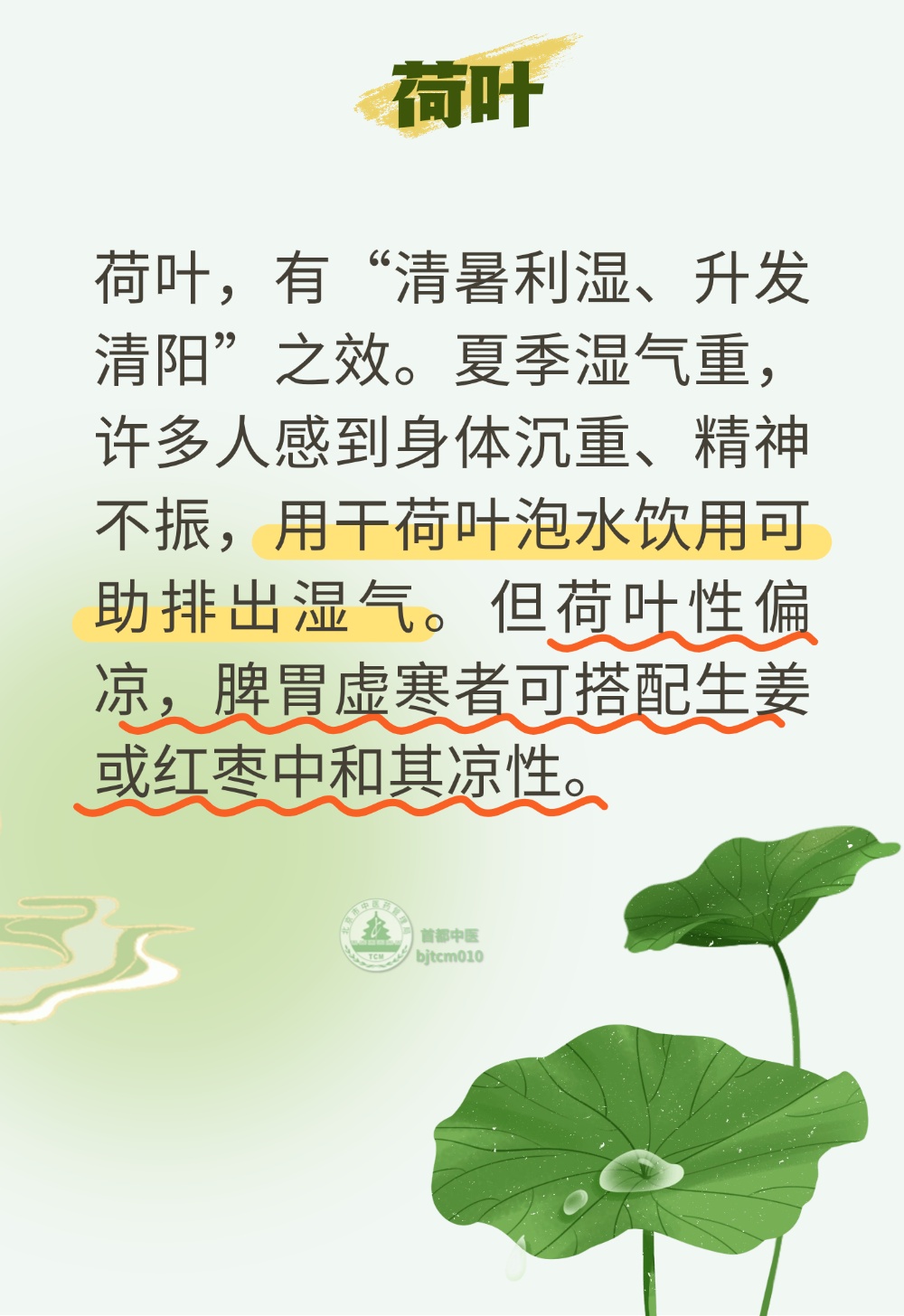 身体沉、没精神、心烦失眠?几样家常东西就能调理!带您认识身边的“养生好物” 身体沉、没精神、心烦失眠?几样家常东西就能调理!带您认识身边的“养生好物”
