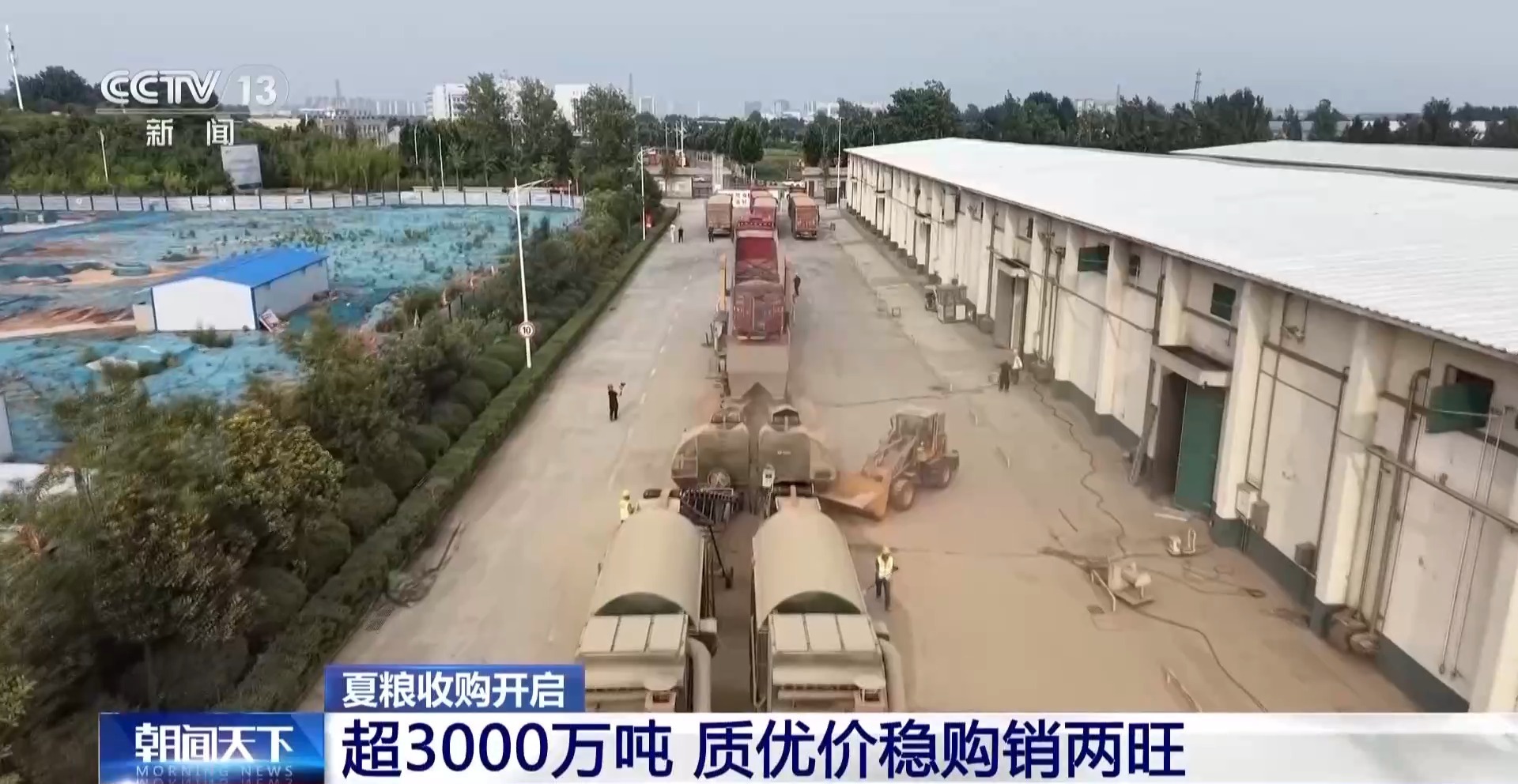 夏粮收购开启 看大国粮仓“升舱记”