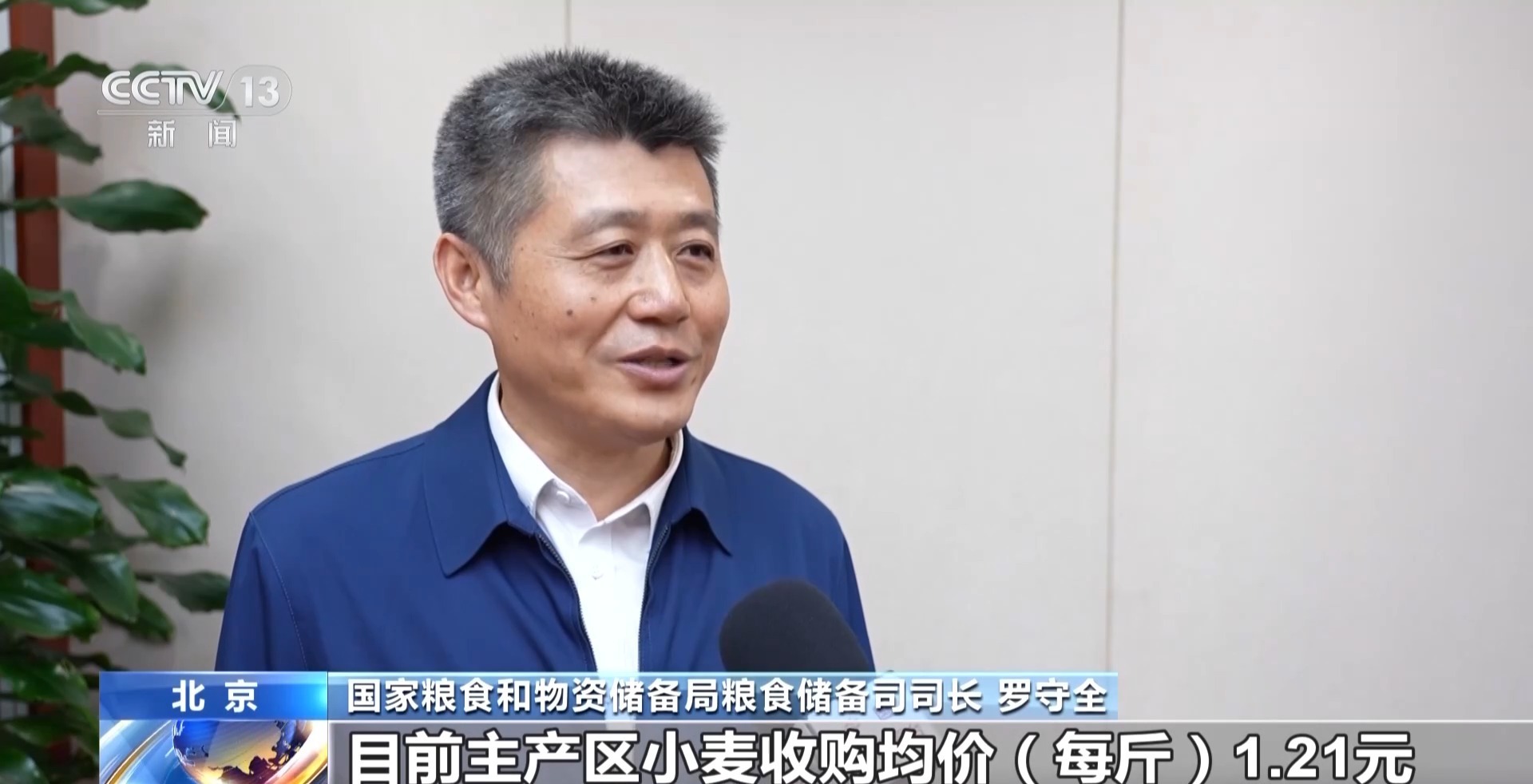 夏粮收购开启 看大国粮仓“升舱记”