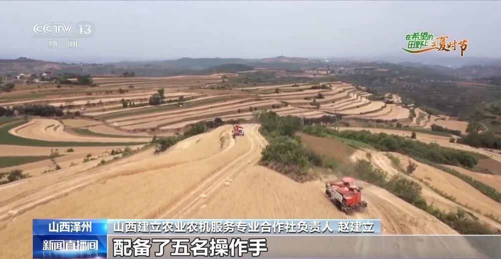 全国多地夏收夏管稳步推进 科技种粮稳丰收 全国多地夏收夏管稳步推进 科技种粮稳丰收
