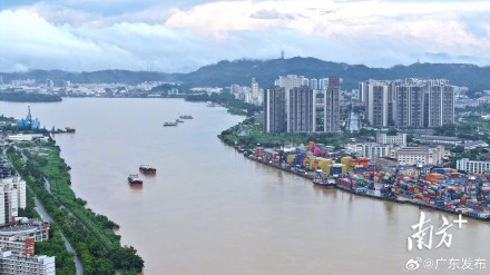 西江干流中下游水位持续上涨