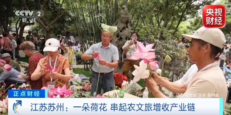 出摊10分钟，抢购一空！为“荷”这么火？