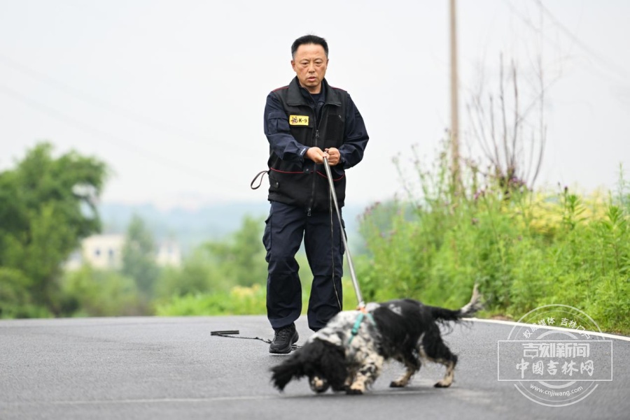 29年训出了8头公安部功勋犬，警犬“教头”老黄何以传奇？