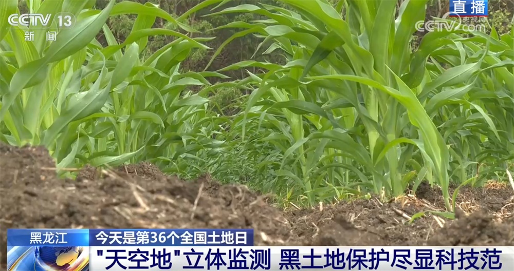 “天空地”立体监测、精准作业让黑土地保护尽显“科技范” 端稳端牢“中国饭碗”