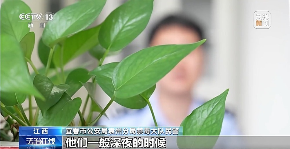 法治在线丨非法添加兽用麻醉剂让吸食者上瘾 警惕“上头电子烟”