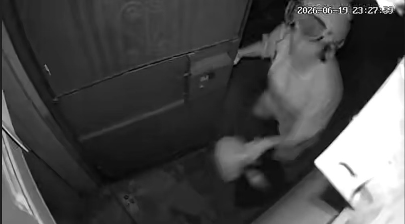 女子开门一脚踩中蛇，吓得尖叫跑回家，转身发现蛇“飞”到了对面门上