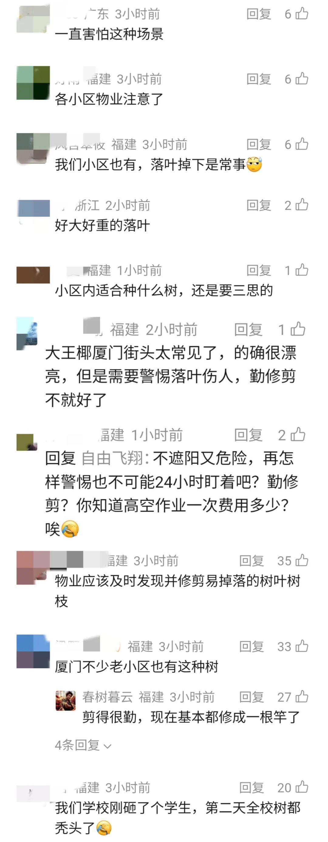 女子小区内被落叶砸中，胸椎腰椎骨折致十级伤残！法院判了！什么树威力这么大？